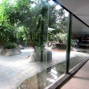 Galapagos and Giant Tortoises indoor exhibit - July/2017