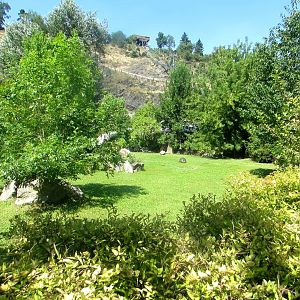 Giant and Galapagos Tortoises outdoor enclosure - July/2017