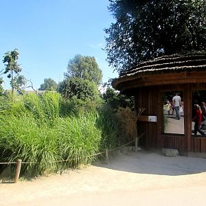 Squirrel Monkeys House - July/2017