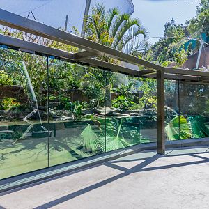 Dwarf crocodile exhibit