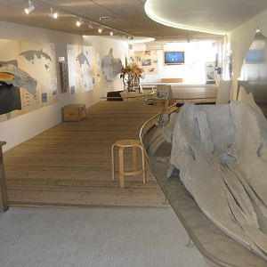 Nordsøen Oceanarium - "Hvalforskerhytten"