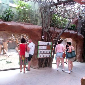 Gorilla indoor exhibit - July/2017