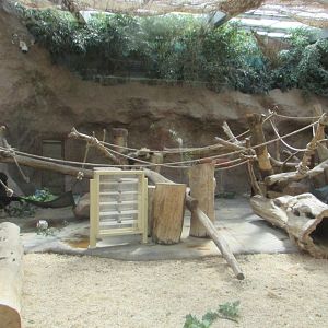 Gorilla House design - July/2017