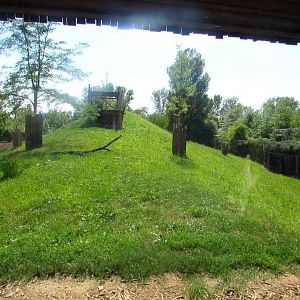Cheetah enclosure - July/2017