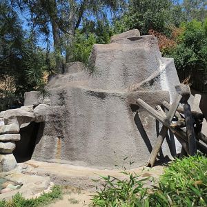 American Black Bear Exhibit
