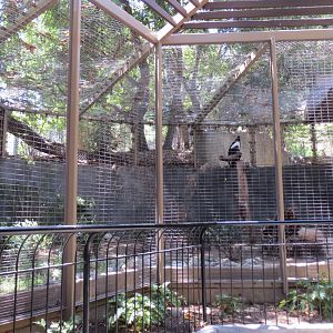 Steller's Sea Eagle Exhibit