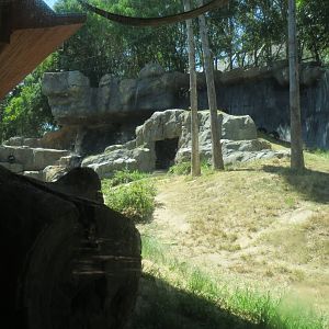 Chimpanzee Exhibit
