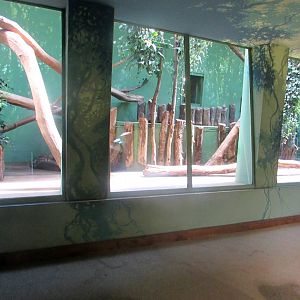 Asiatic Lion indoor exhibit - July/2017