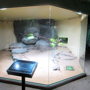 Turtles exhibiton - July/2017