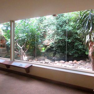 Turtles and lizards exhibition - July/2017