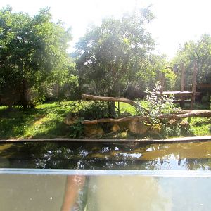 Malayan Tiger enclosure - July/2017