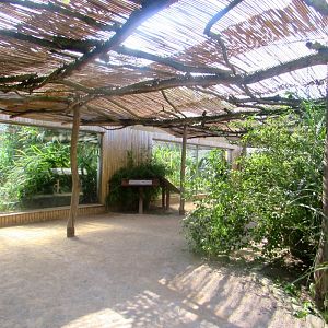 Shoebill enclosure - July/2017