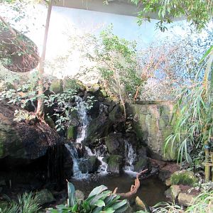 Sichuan pavilion indoor (1) - July/2017