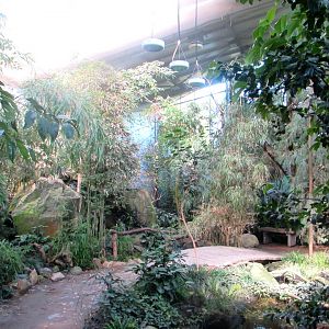 Sichuan pavilion indoor (2) - July/2017