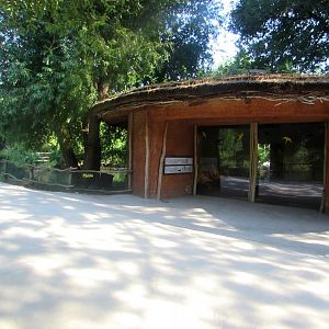 Flamingo House - July/2017