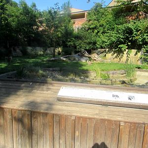 Giant Anteater enclosure - July/2017