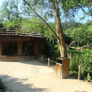 Mantled Guereza house - July/2017