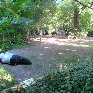Malayan Tapir enclosure - July/2017