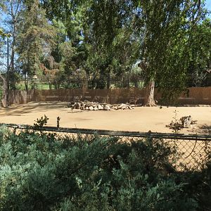Speke's Gazelle Exhibit