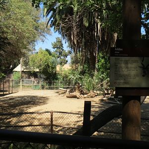 Addax Exhibit