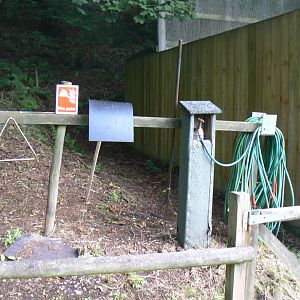 Fire Point - 8 August 2017