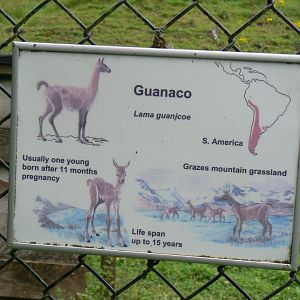 Sign - 8 August 2017