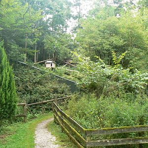 View towards the Red Panda Enclosure - 8 August 2017