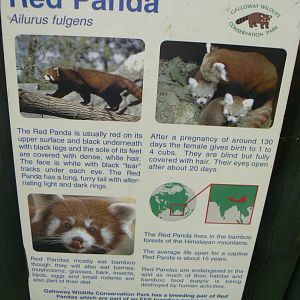 Signage - 8 August 2017