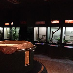 Inside enclosures