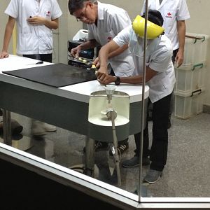 Venom extraction show