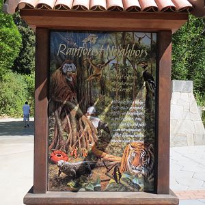 Rainforest Neighbors