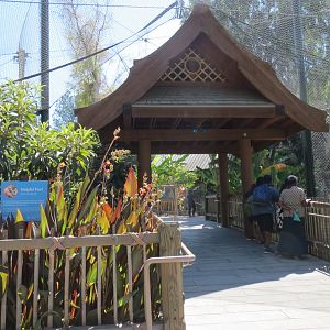 Red Ape Rainforest Entrance