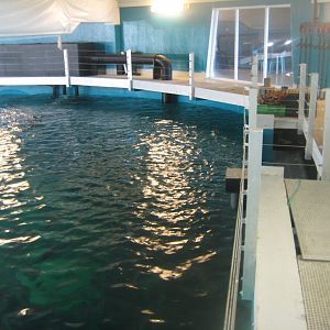 Nordsøen Oceanarium - "Ocean View"
