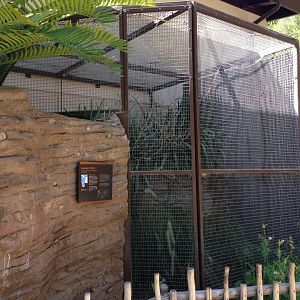 The Lair - Galapagos Tortoise Exhibit