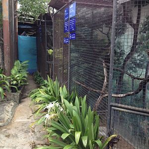 Outside roof bird enclosures