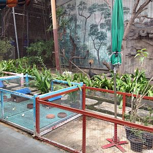 Ouside roof pet enclosures