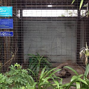Leopard Cat enclosure (outside roof)
