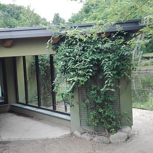 Rostock Zoo - Pelican house