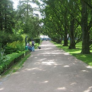 Rostock Zoo - "Oak avenue"