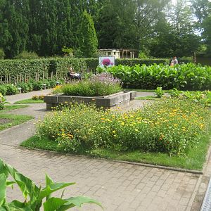 Rostock Zoo - "Dahlia quarter"