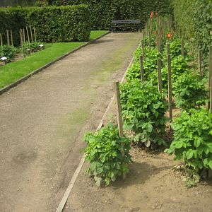 Rostock Zoo - "Dahlia quarter"