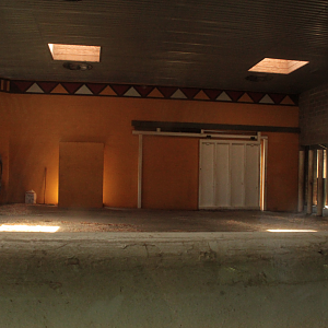 Aug. 2017 - African Savanna - Elephant Indoor Exhibit