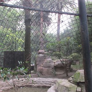 mixed species aviary