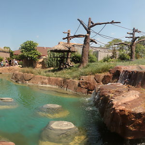 Aug. 2017 - Islands - Siamang Exhibit Panorama