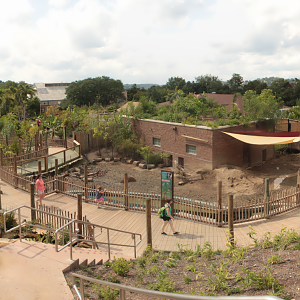Aug. 2017 - Jungle Odyssey - Capybara/Anteater Exhibit
