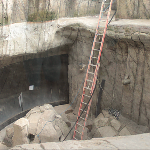 Aug. 2017 - Water's Edge - First Sea Otter Exhibit