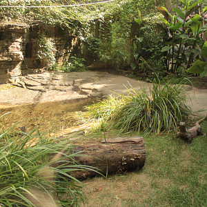 Aug. 2017 - Forest Passage - Komodo Dragon Exhibit