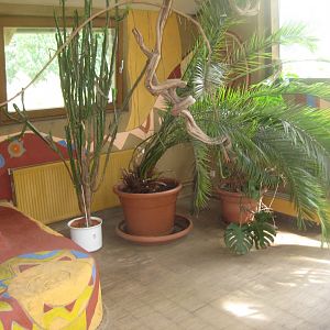 Rostock Zoo - South America house - Second floor