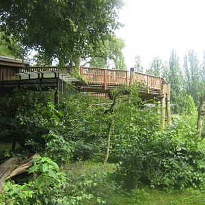 Rostock Zoo - Marmoset exhibit