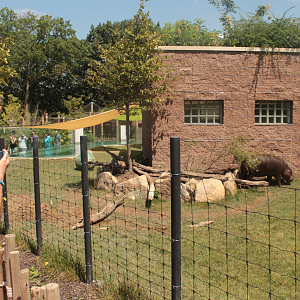 Aug. 2017 - Jungle Odyssey - Pygmy Hippo Exhibit